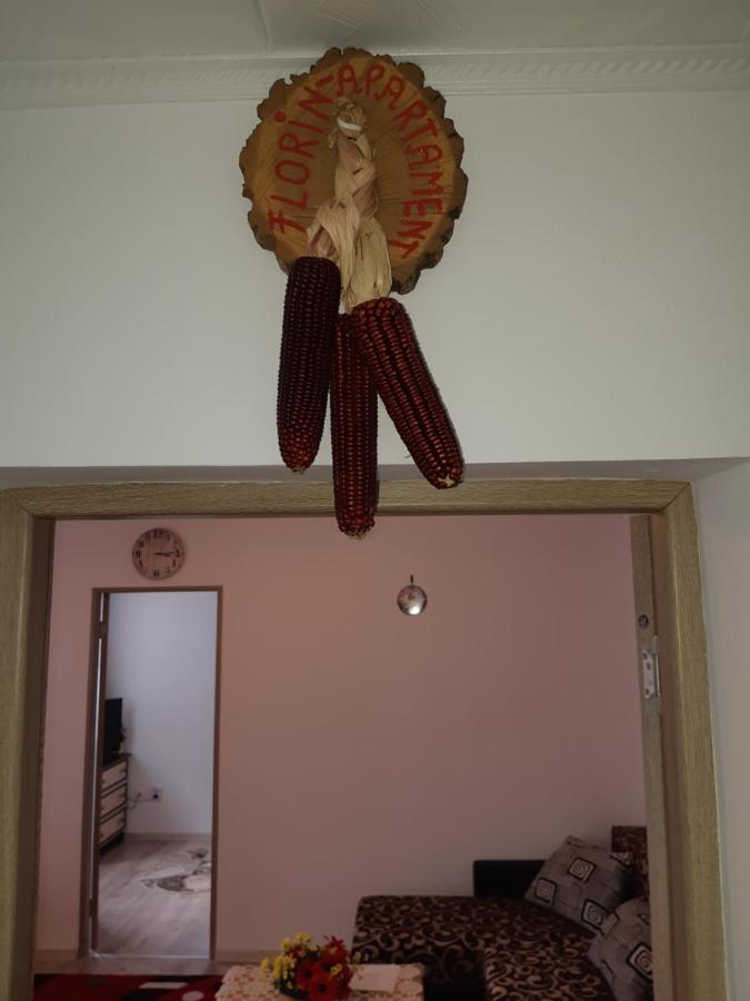Florin Apartament Sighisoara Bagian luar foto