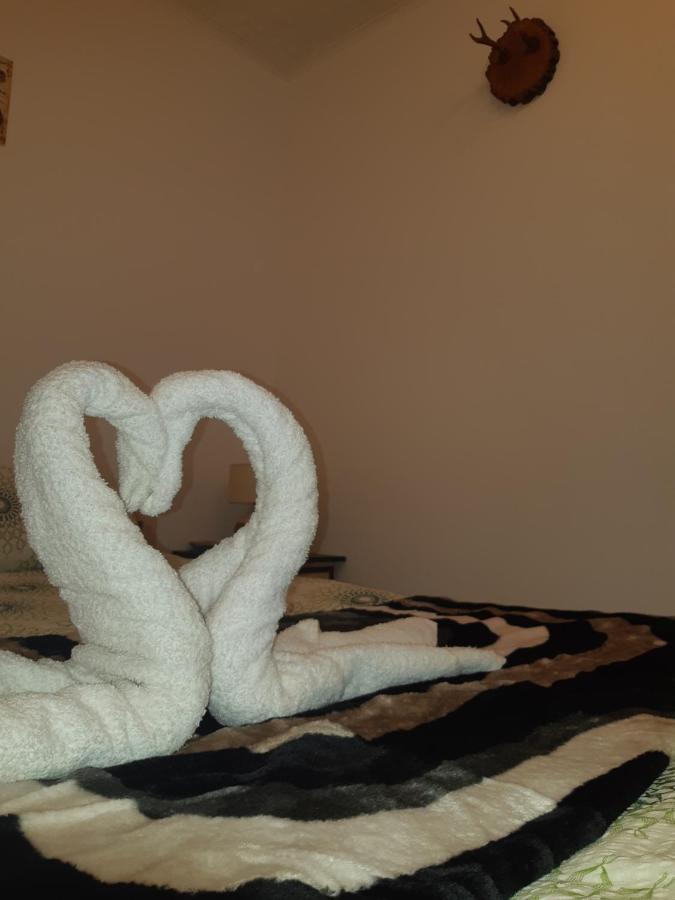 Florin Apartament Sighisoara Bagian luar foto