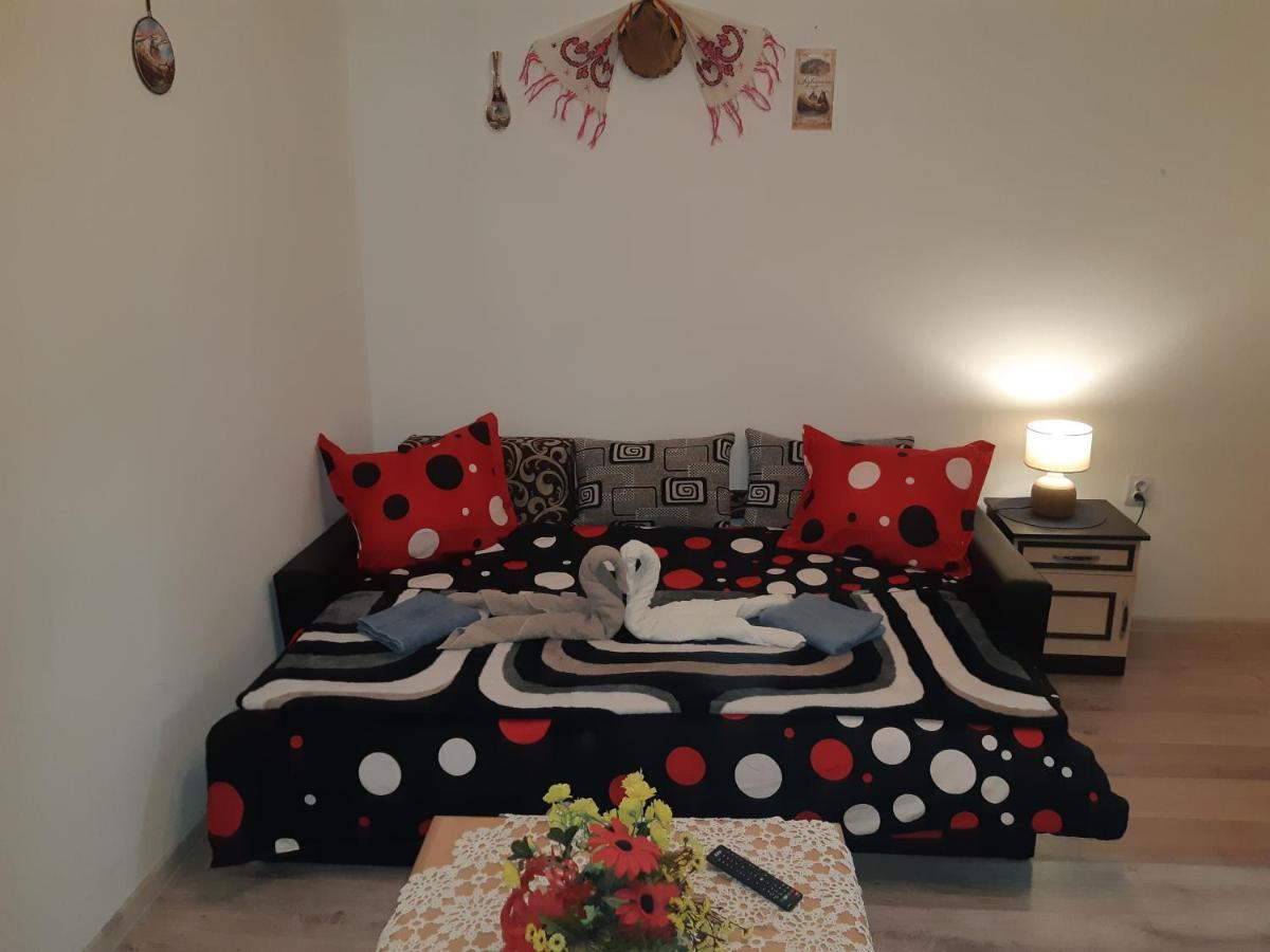 Florin Apartament Sighisoara Bagian luar foto