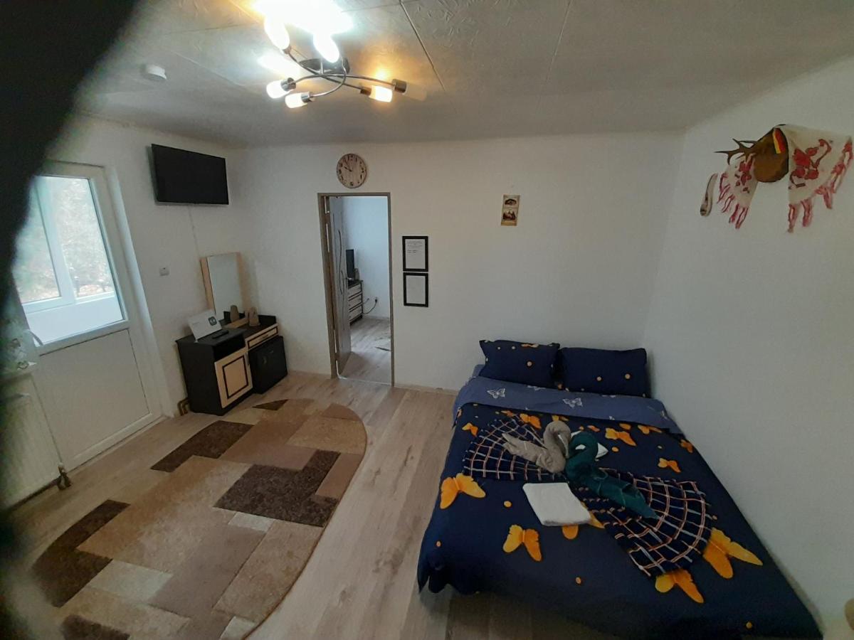 Florin Apartament Sighisoara Bagian luar foto